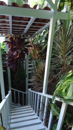 Jardín