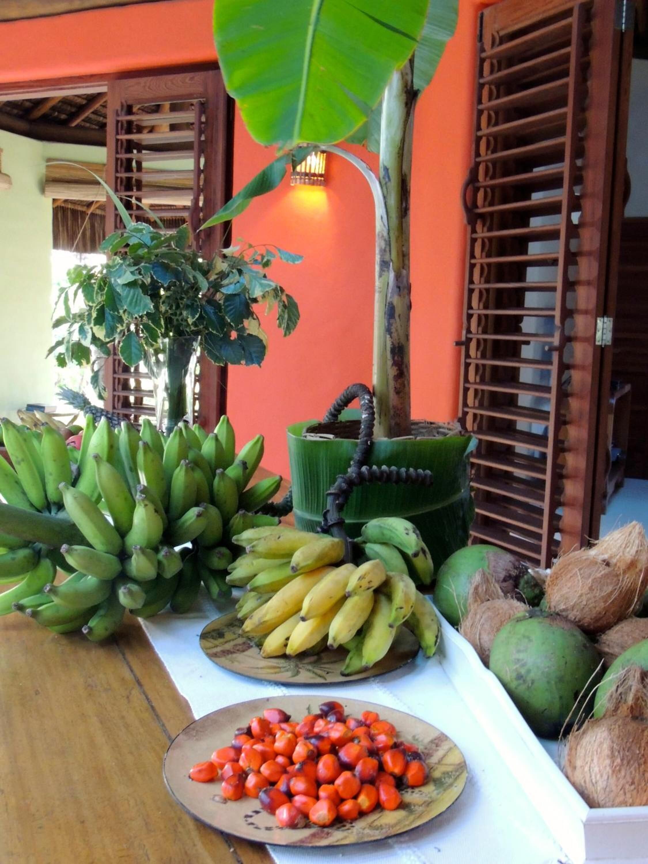 A table with bananas, coconuts, and a plant.