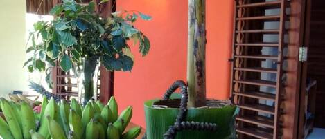 A table with bananas, coconuts, and a plant.