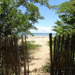 Área da propriedade