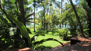 A tropical garden with palm trees, a wooden deck, and a bench.