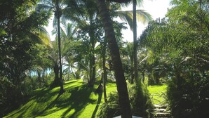 A wooden deck with a view of a lush garden with palm trees and a grassy area.