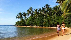A beach with palm trees and clear water.