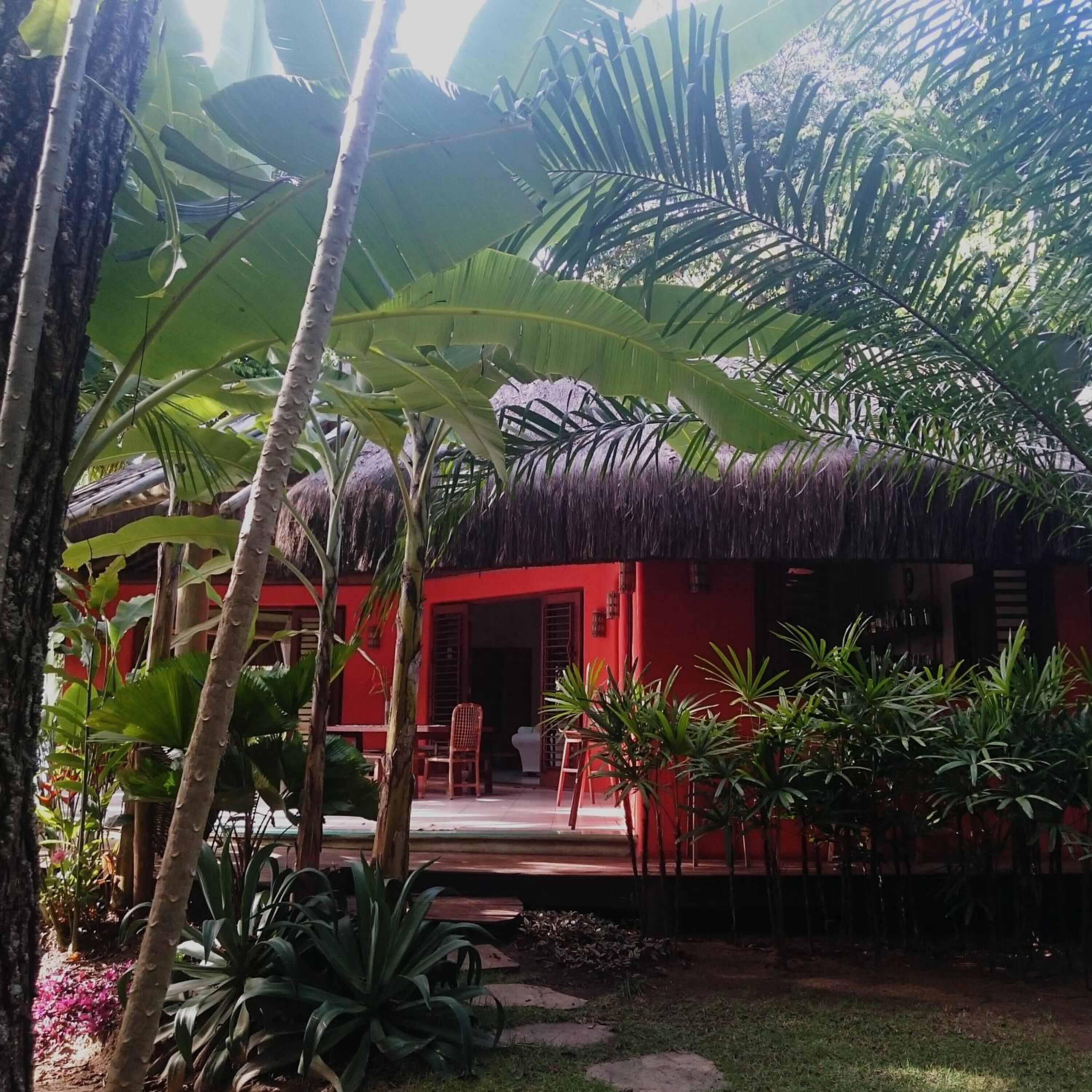 Un edificio rojo con techo de paja, rodeado de exuberante vegetación tropical y un pequeño patio.