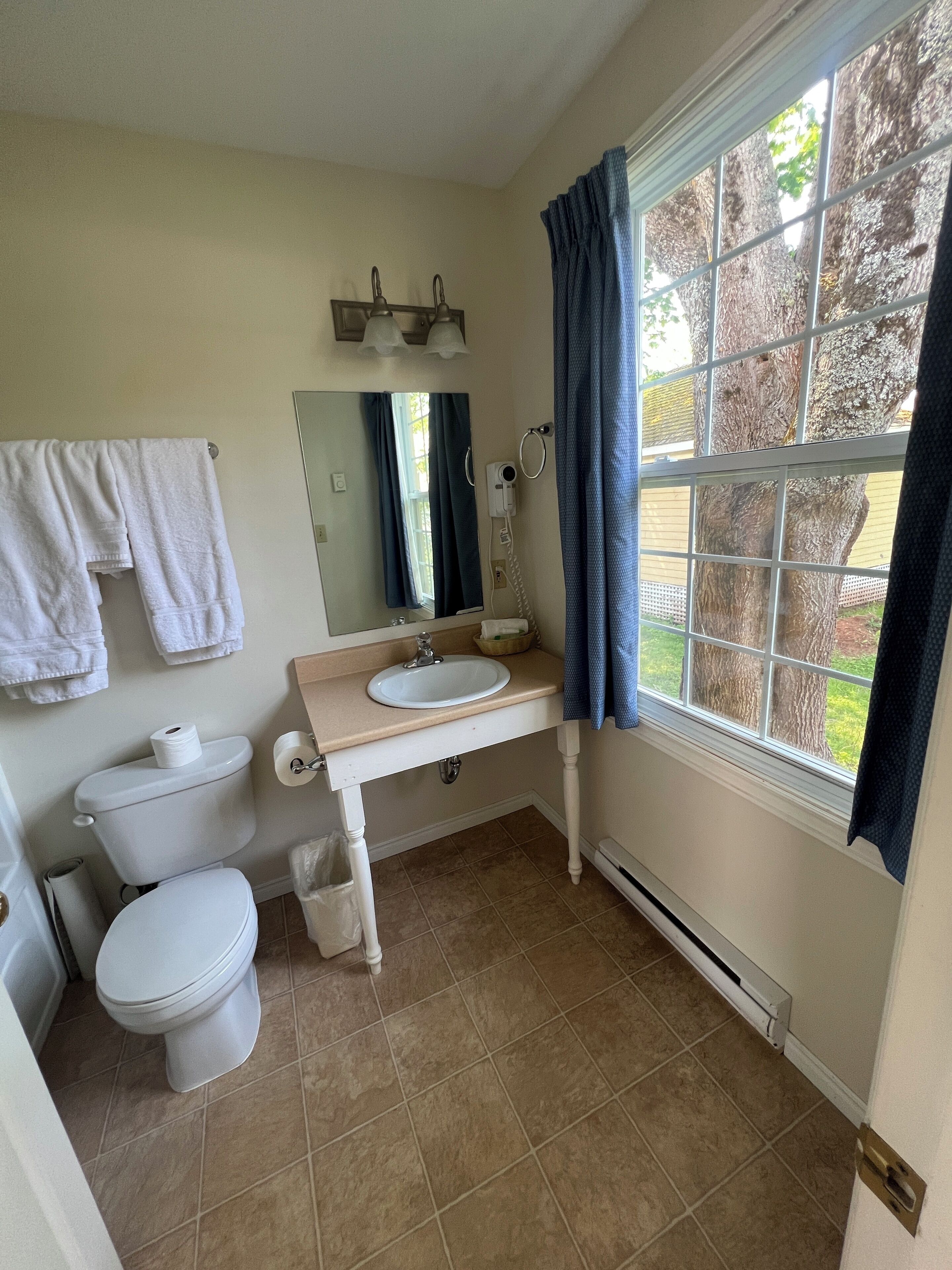 A bathroom with a toilet, sink, and a large window with curtains.