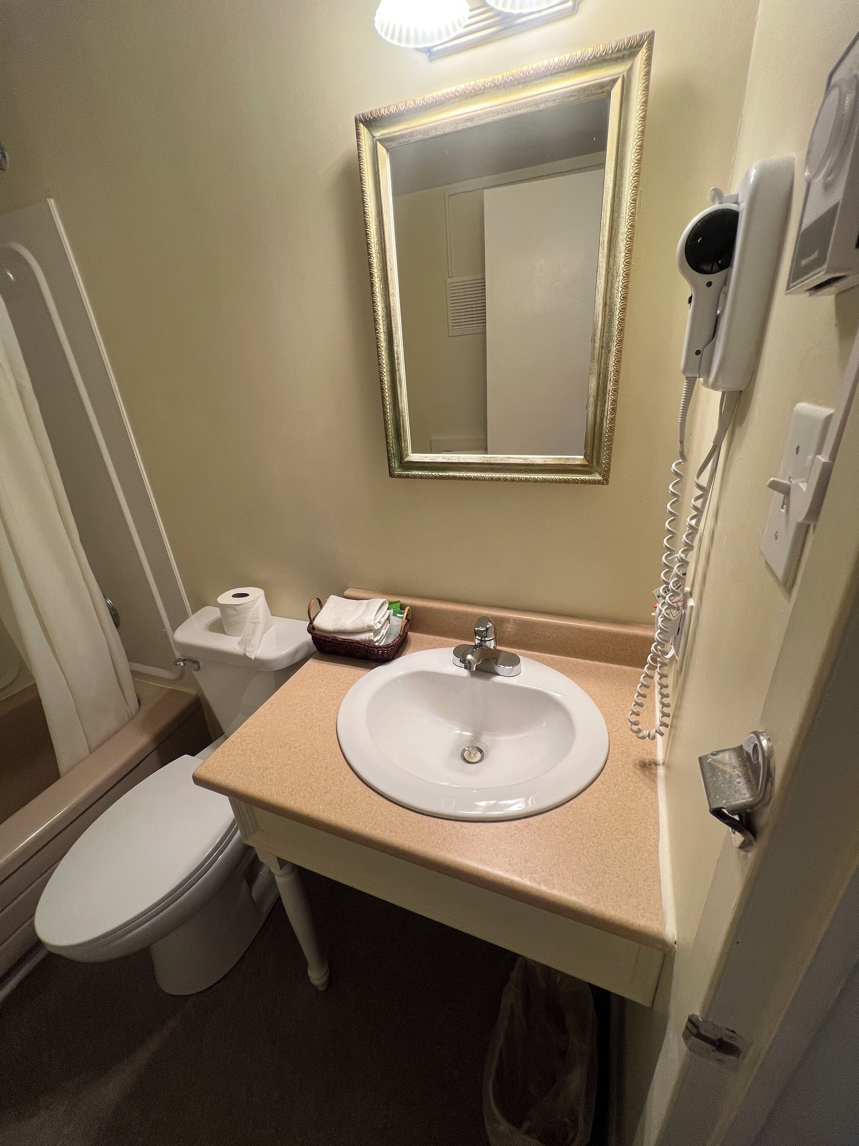 A bathroom with a white sink, a mirror with a gold frame, a toilet, and a telephone.
