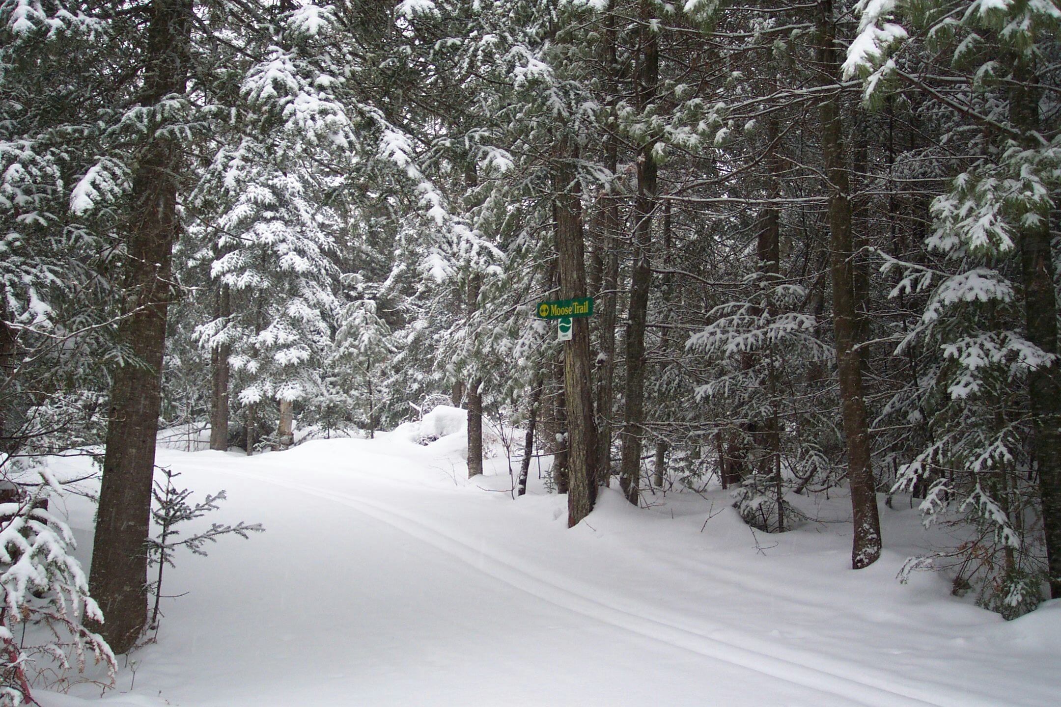 Un sentier forestier enneigé, avec un panneau indiquant le « Sentier de l’orignal ».
