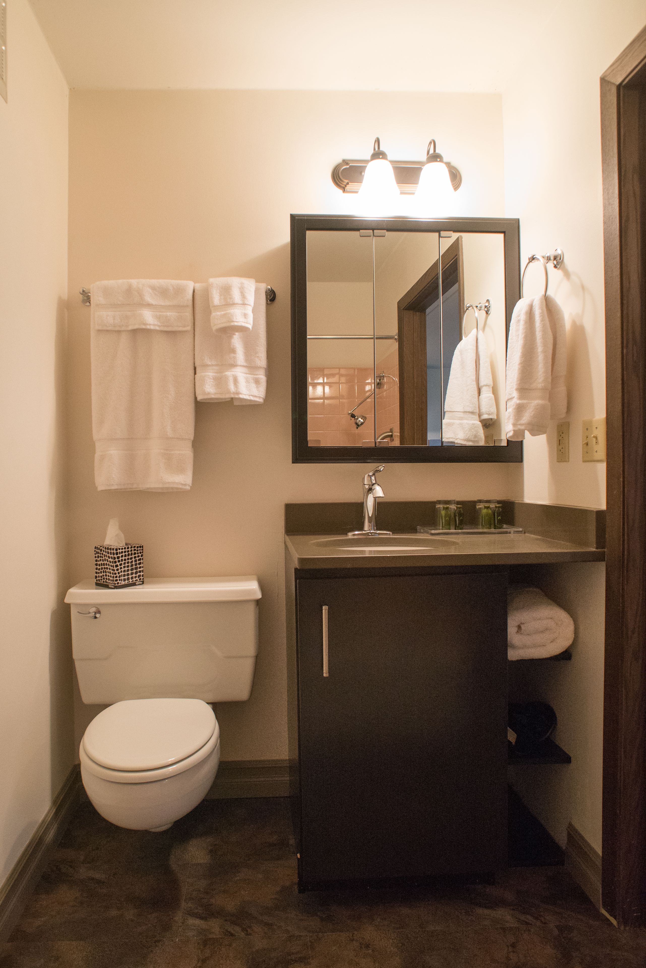 deluxe suite, 2 bedrooms, 2 bathrooms | bathroom | free toiletries, hair dryer, towels