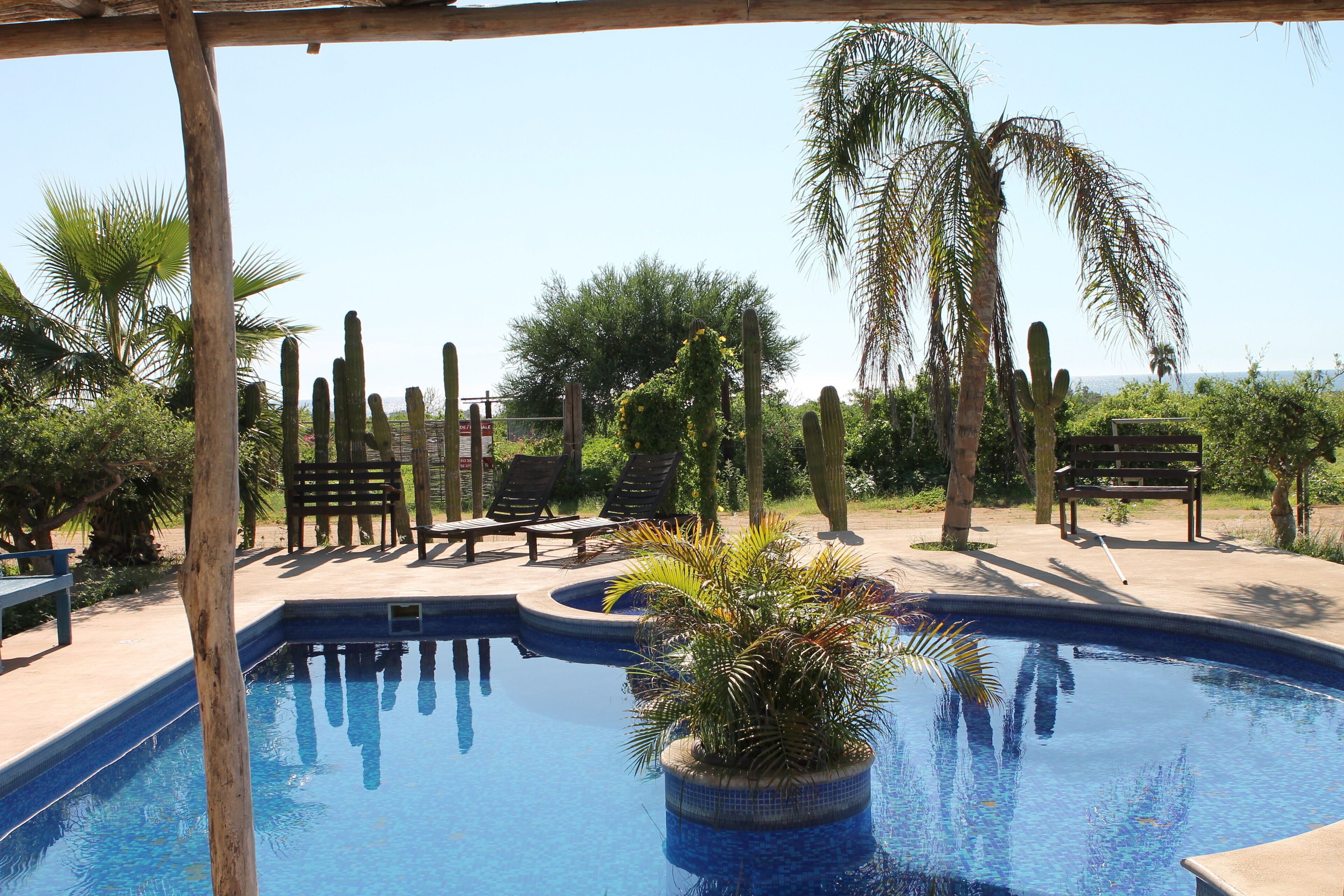 Piscine extérieure (ouverte en saison), parasols de plage