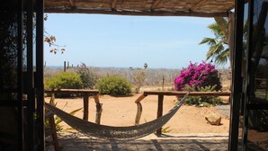 Una hamaca en un umbral con vistas a un paisaje desértico, que incluye cactus y un arbusto rosado.