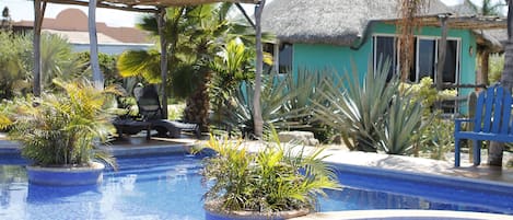 Piscine extérieure (ouverte en saison), parasols de plage