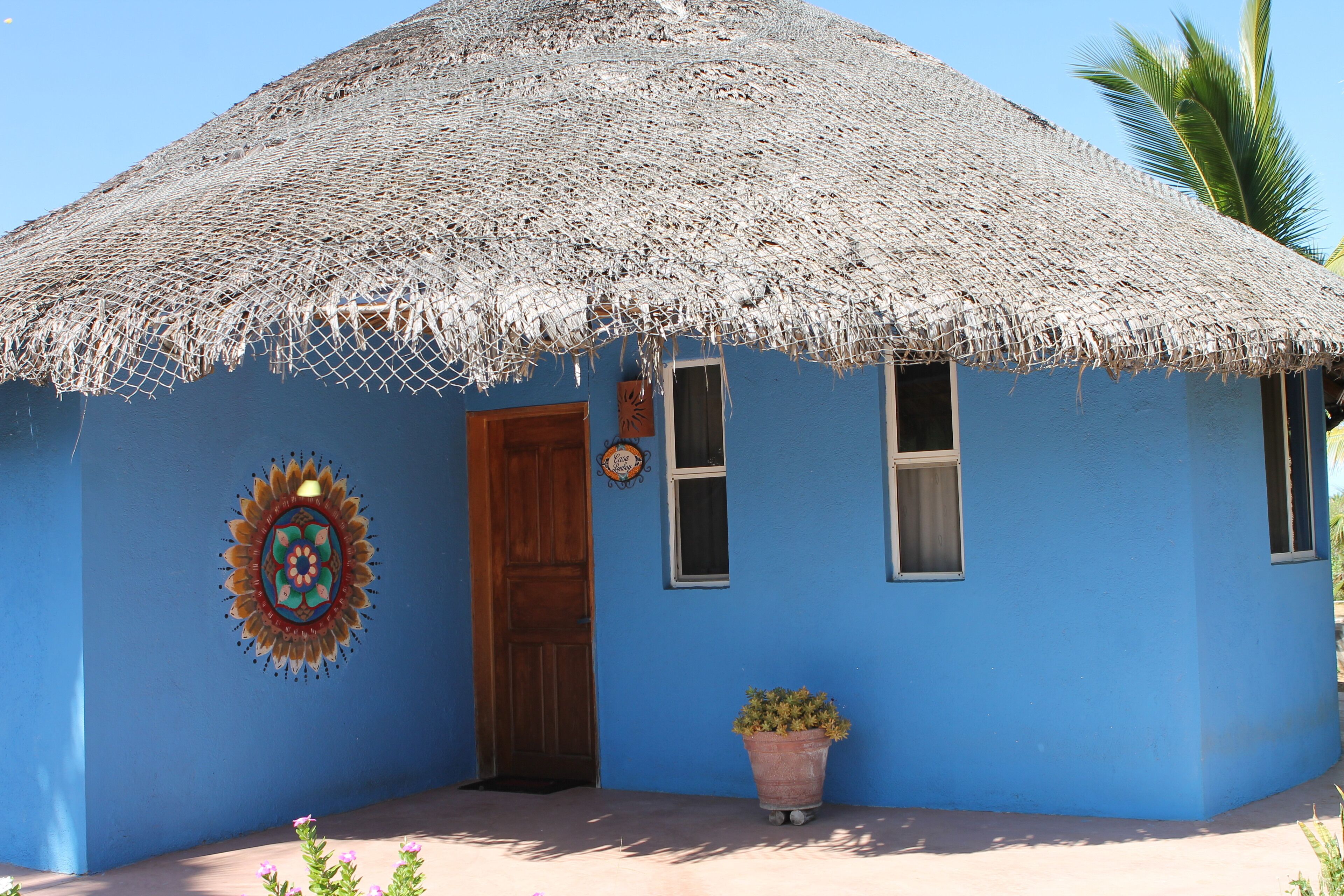 A blue house with a thatched roof, a wooden door, and a potted plant in front.