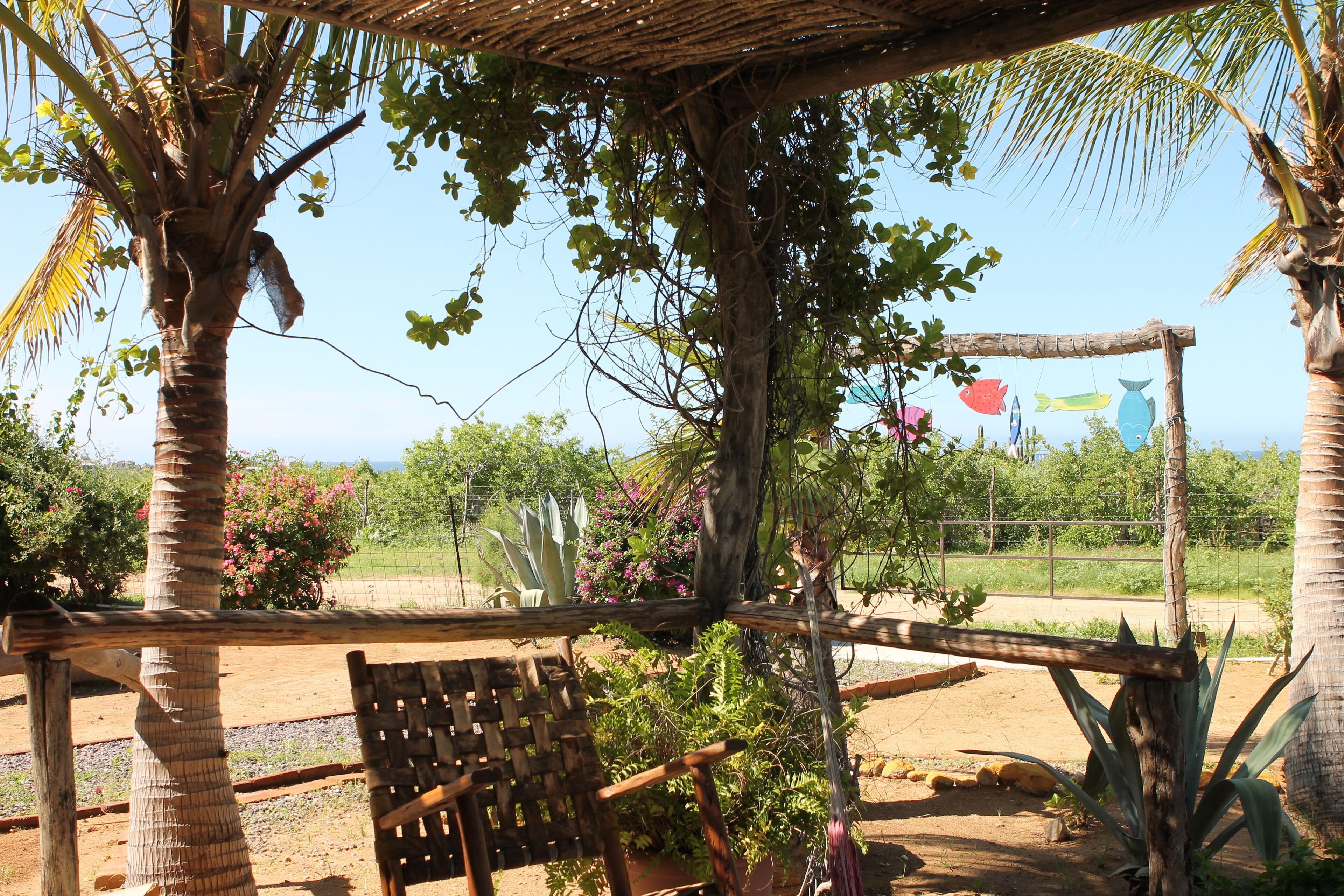 A wooden pergola with a bench, surrounded by palm trees and various plants.