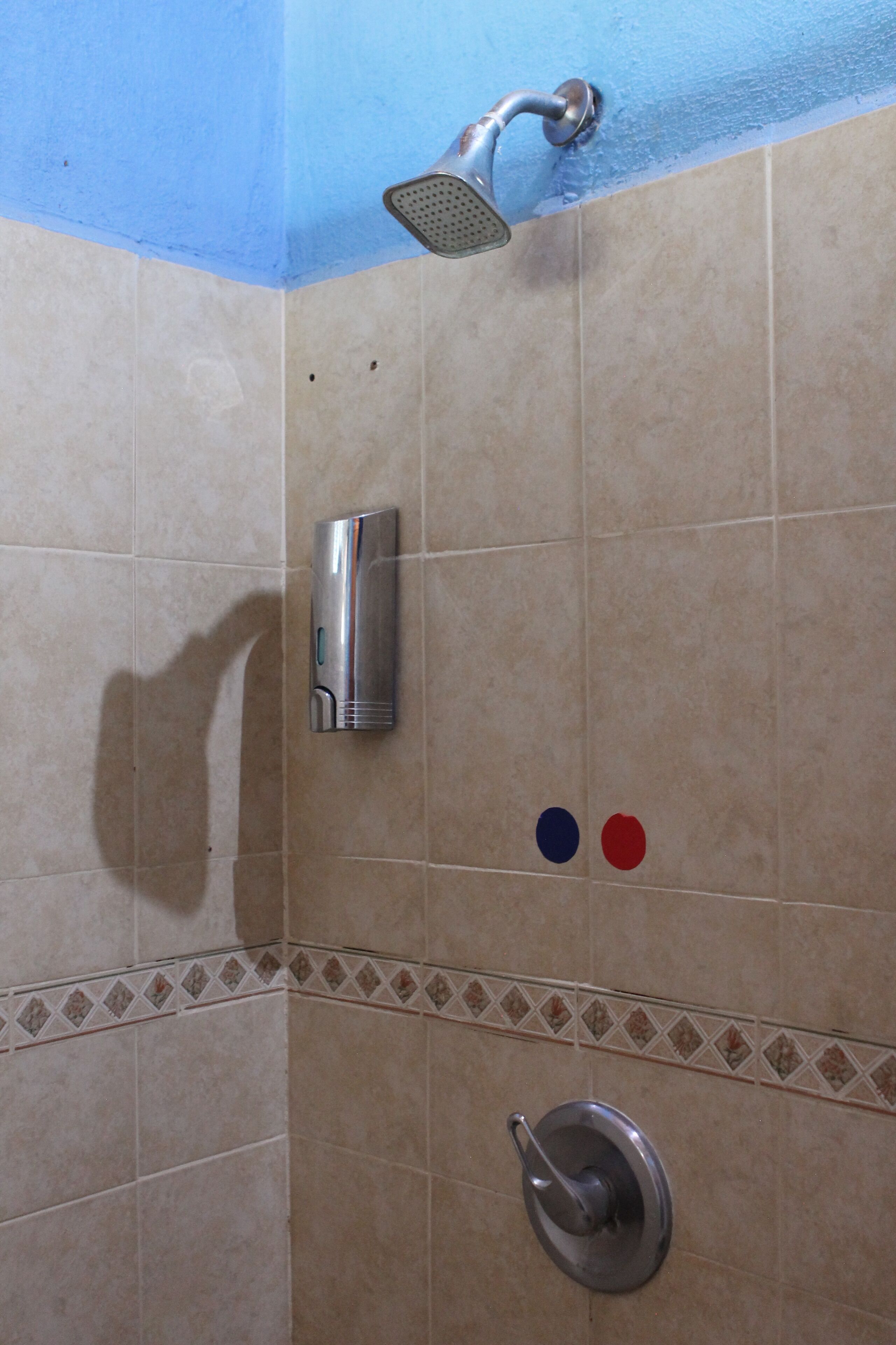 A shower area with a handheld showerhead, a soap dispenser, and a towel rack.