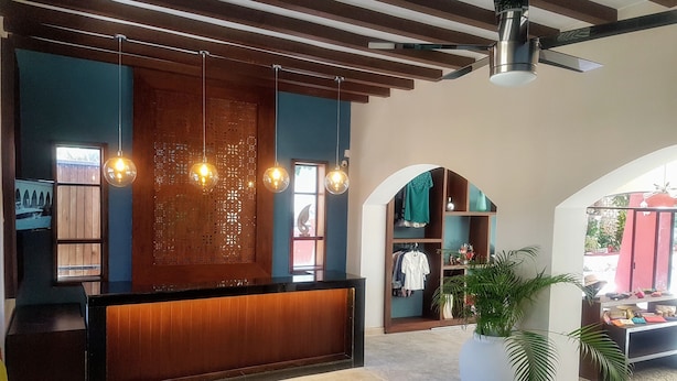A modern reception area with a wooden reception desk, hanging pendant lights, and a large potted plant.