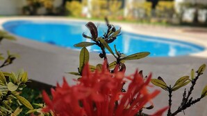 A poolside view with a building in the background.