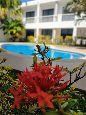 In-room dining - Hotel Holly (Mérida)