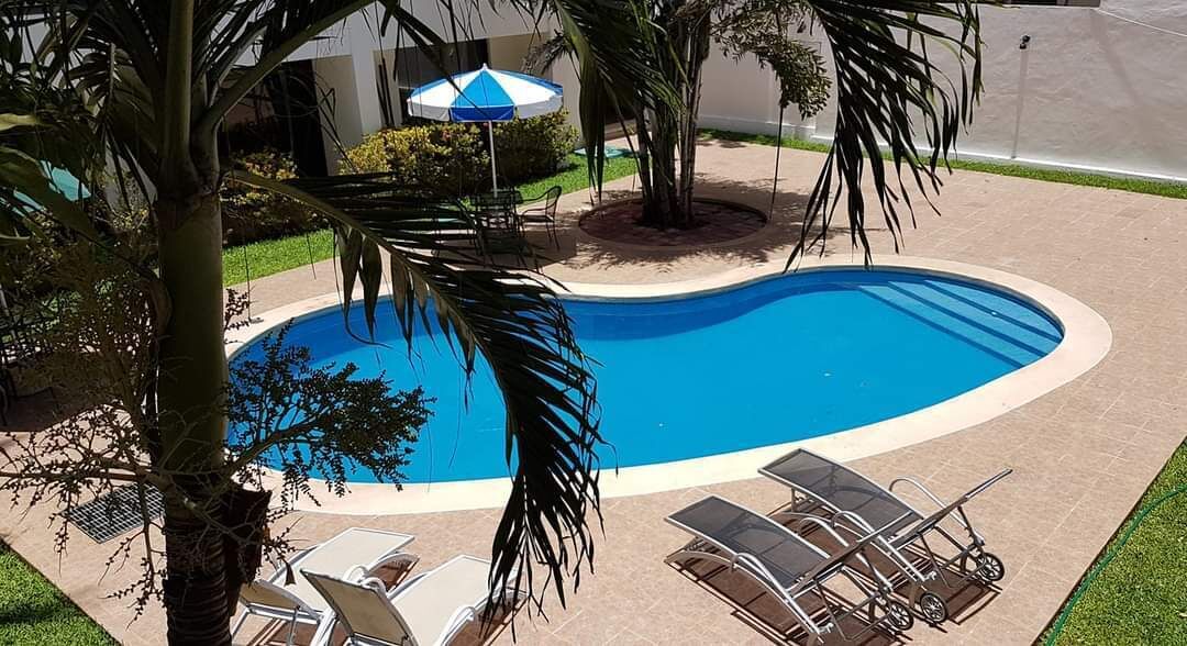 Alberca al aire libre y camastros 