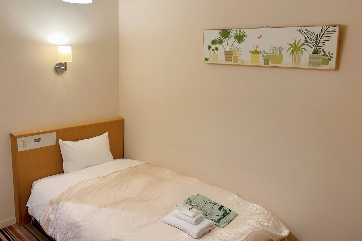 Habitación individual | Edredón, escritorio y espacio para trabajar con laptop