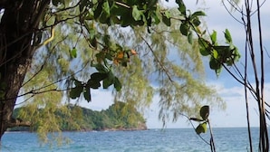 Una playa con agua azul cristalina, una orilla arenosa y una vegetación densa en primer plano.
