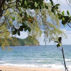 On the beach, beach massages, kayaking, rowing