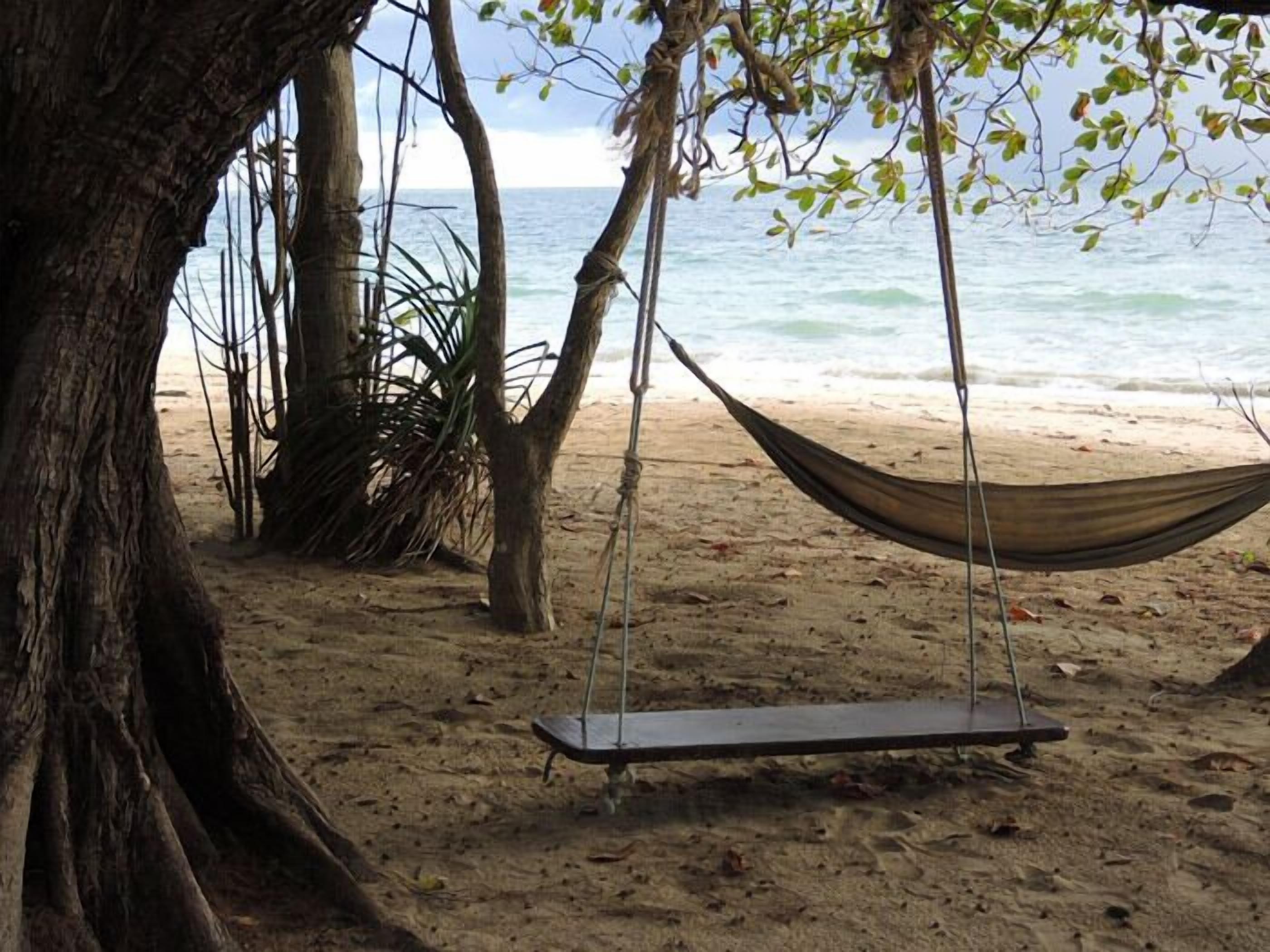 A hammock swing on a sandy beach with a tree and ocean view.
