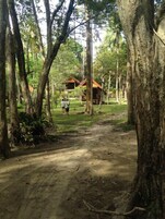 Un sendero que lleva a una edificación rústica rodeada de árboles.