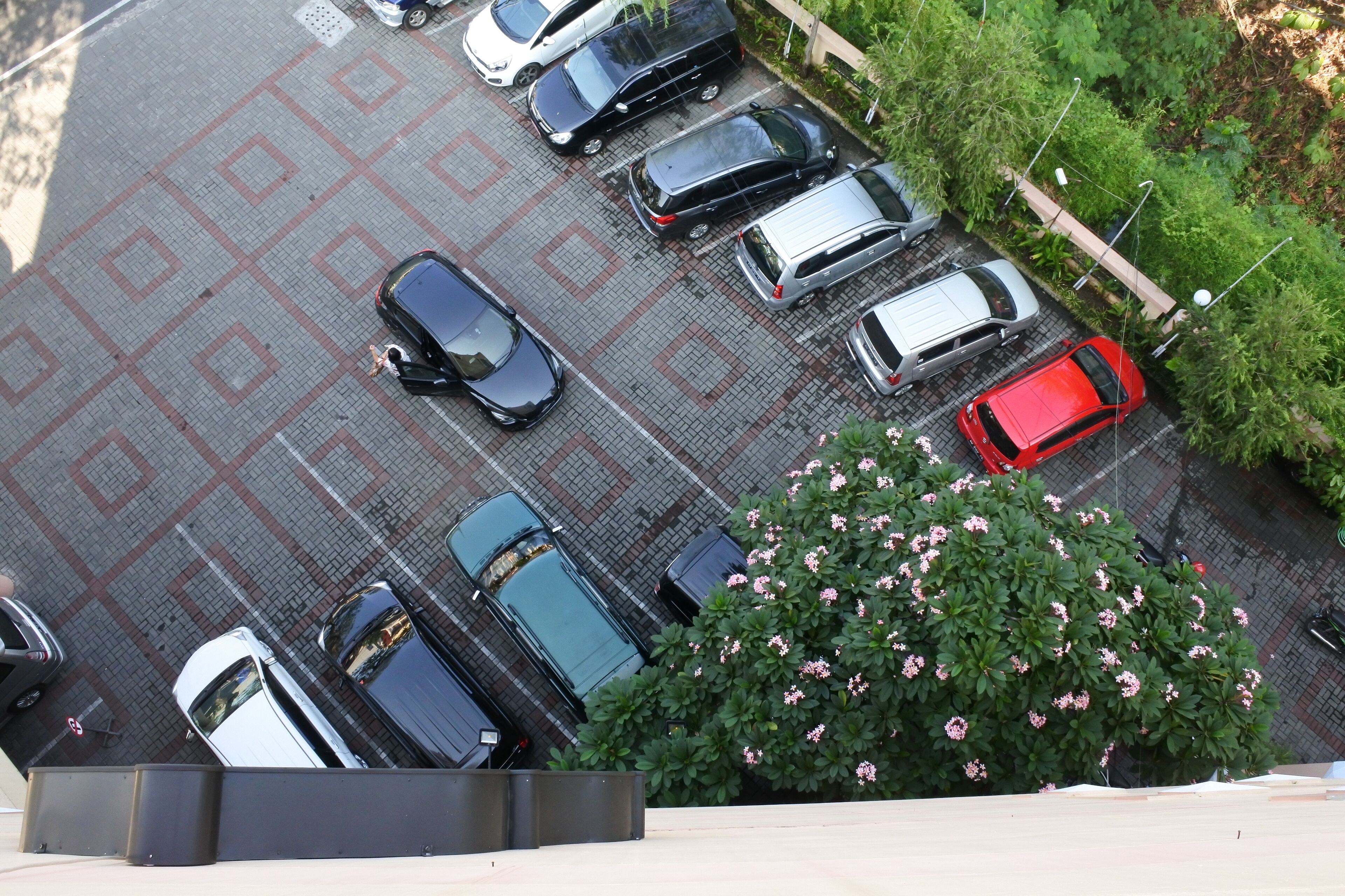 A parking lot with multiple cars and a large bush with pink flowers.