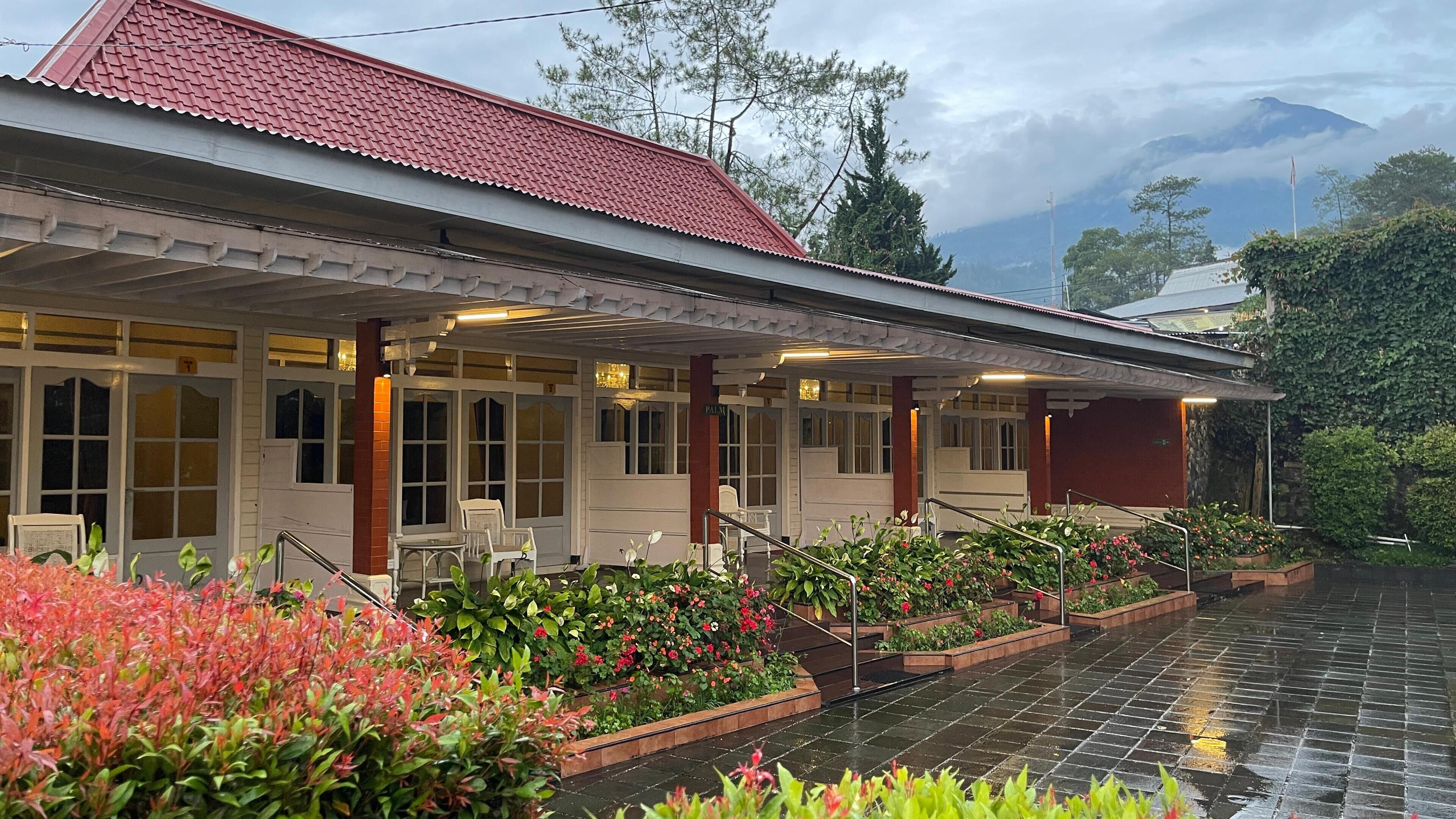 Palm Room, 1 Double Bed, Non Smoking, City View | Mountain view