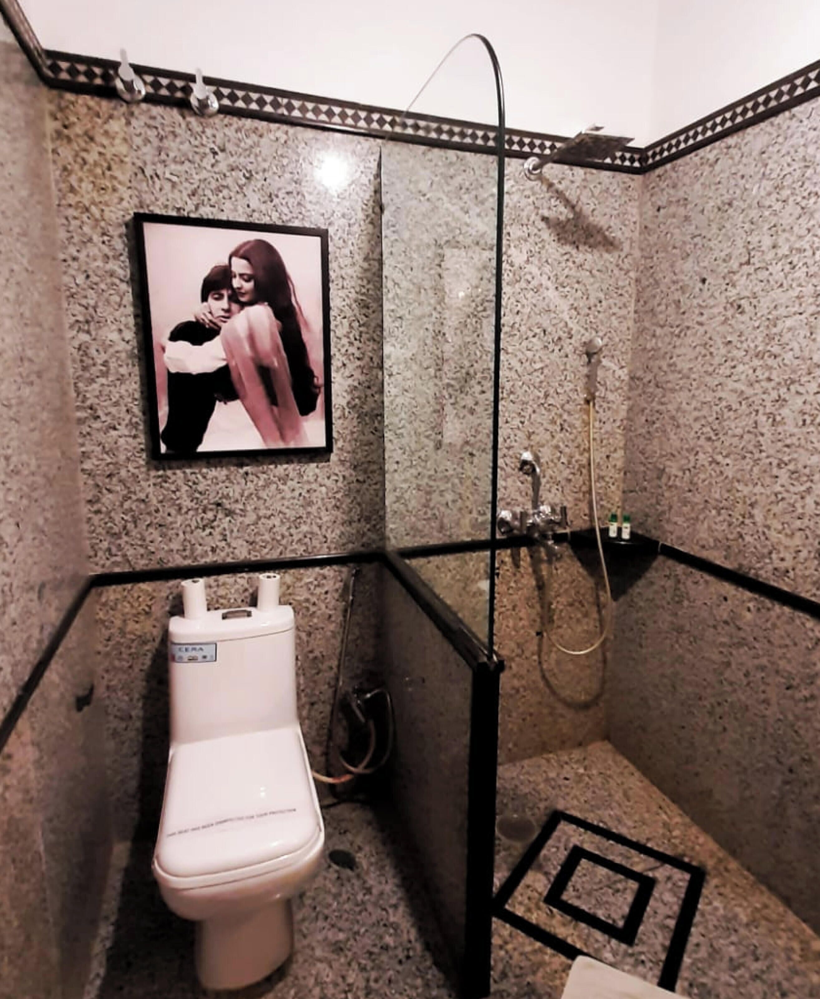 Een compacte badkamer met toilet, douche en een foto aan de muur.