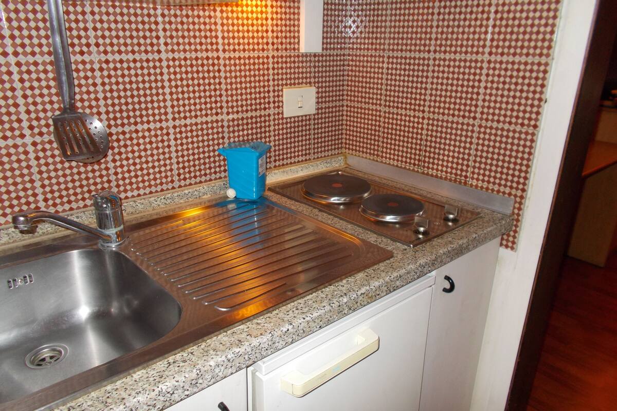 Apartamento estándar, 1 habitación | Cocina privada | Frigorífico grande, placa de cocina y utensilios de cocina