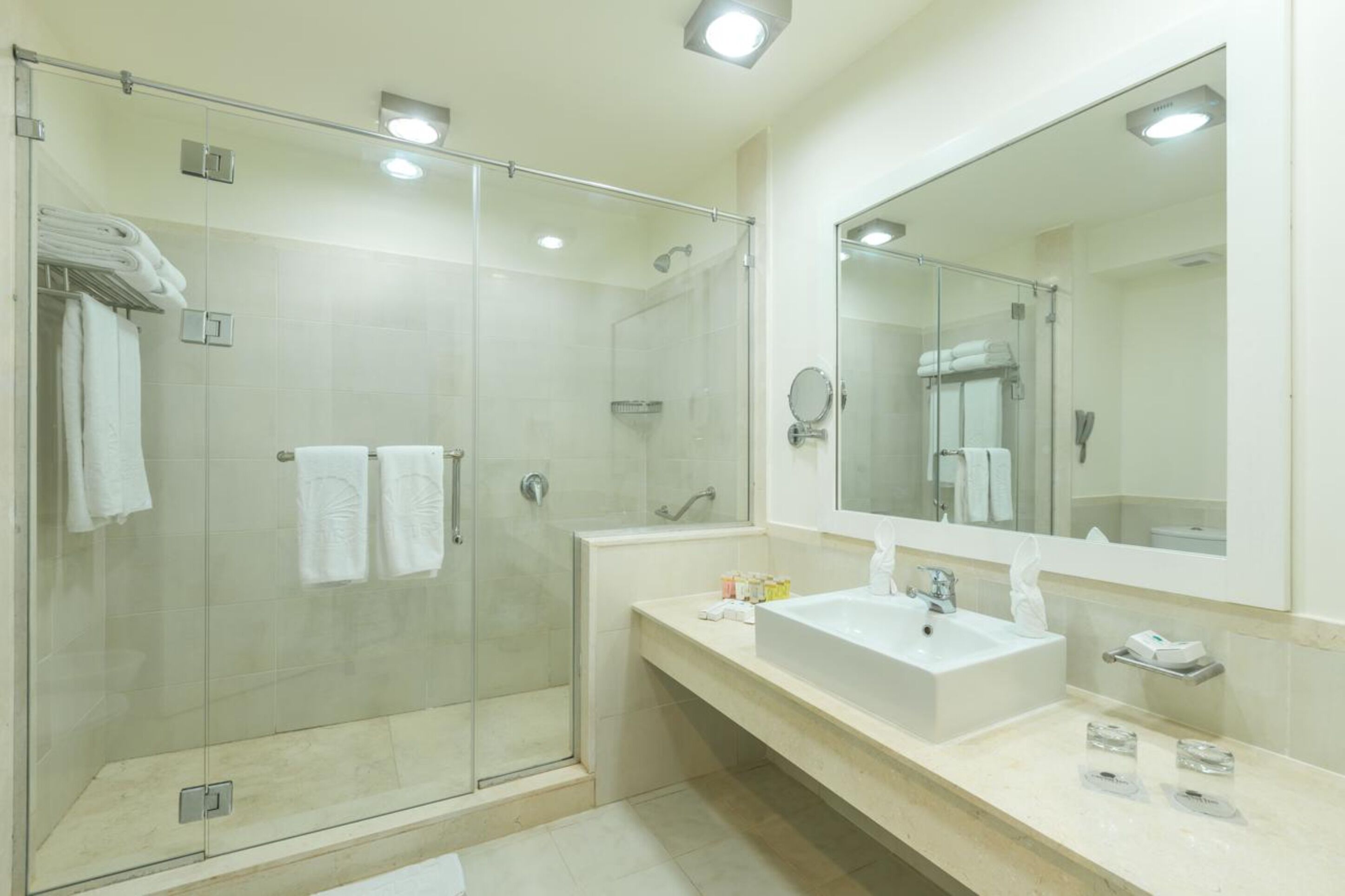 shower, free toiletries, hair dryer, towels