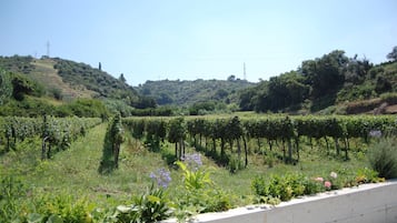 Vue sur les montagnes