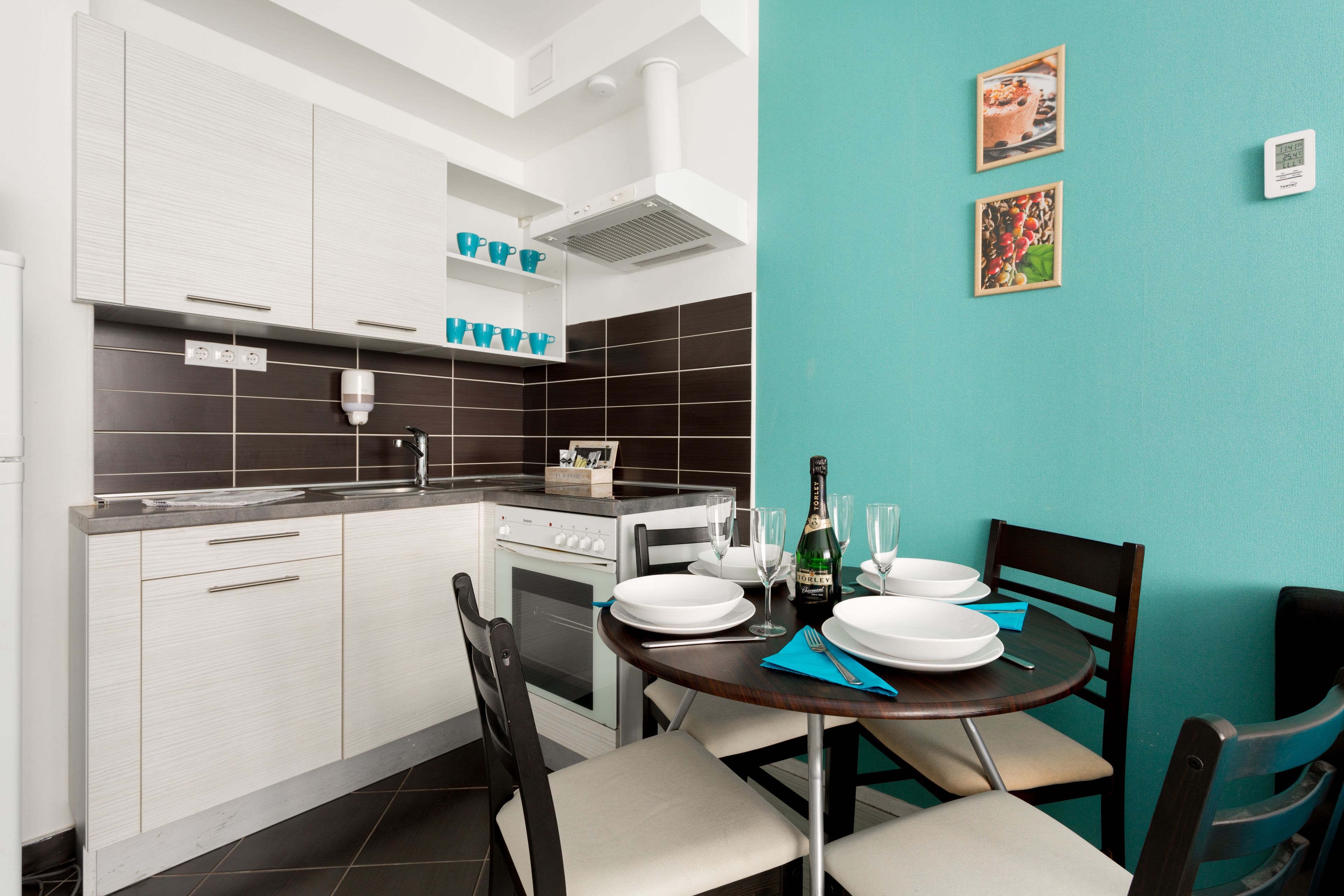 deluxe apartment, 1 bedroom(3) | private kitchen | fridge, microwave, oven, stovetop
