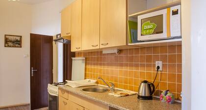 Downtown Apartments Prague