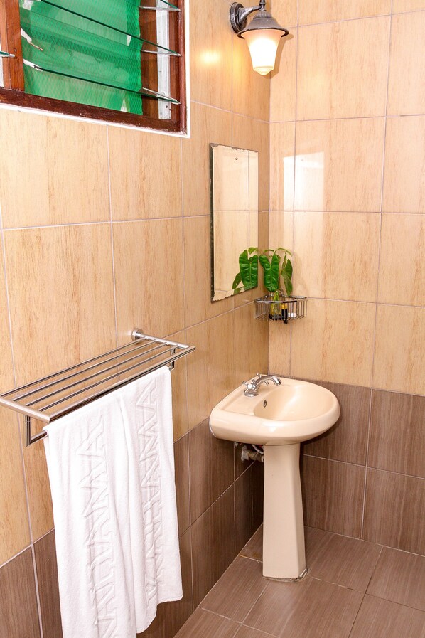 A bathroom with a sink, mirror, towel rack, and a green plant.