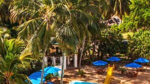 A clear blue swimming pool surrounded by palm trees and blue umbrellas.