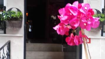 A small dog on a white outdoor staircase with pink flowers in the foreground.