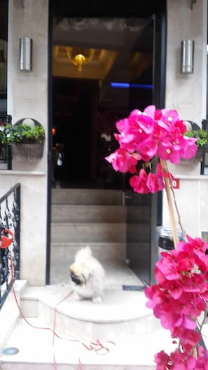 Property entrance - Pearl Hotel Istanbul (Istanbul)