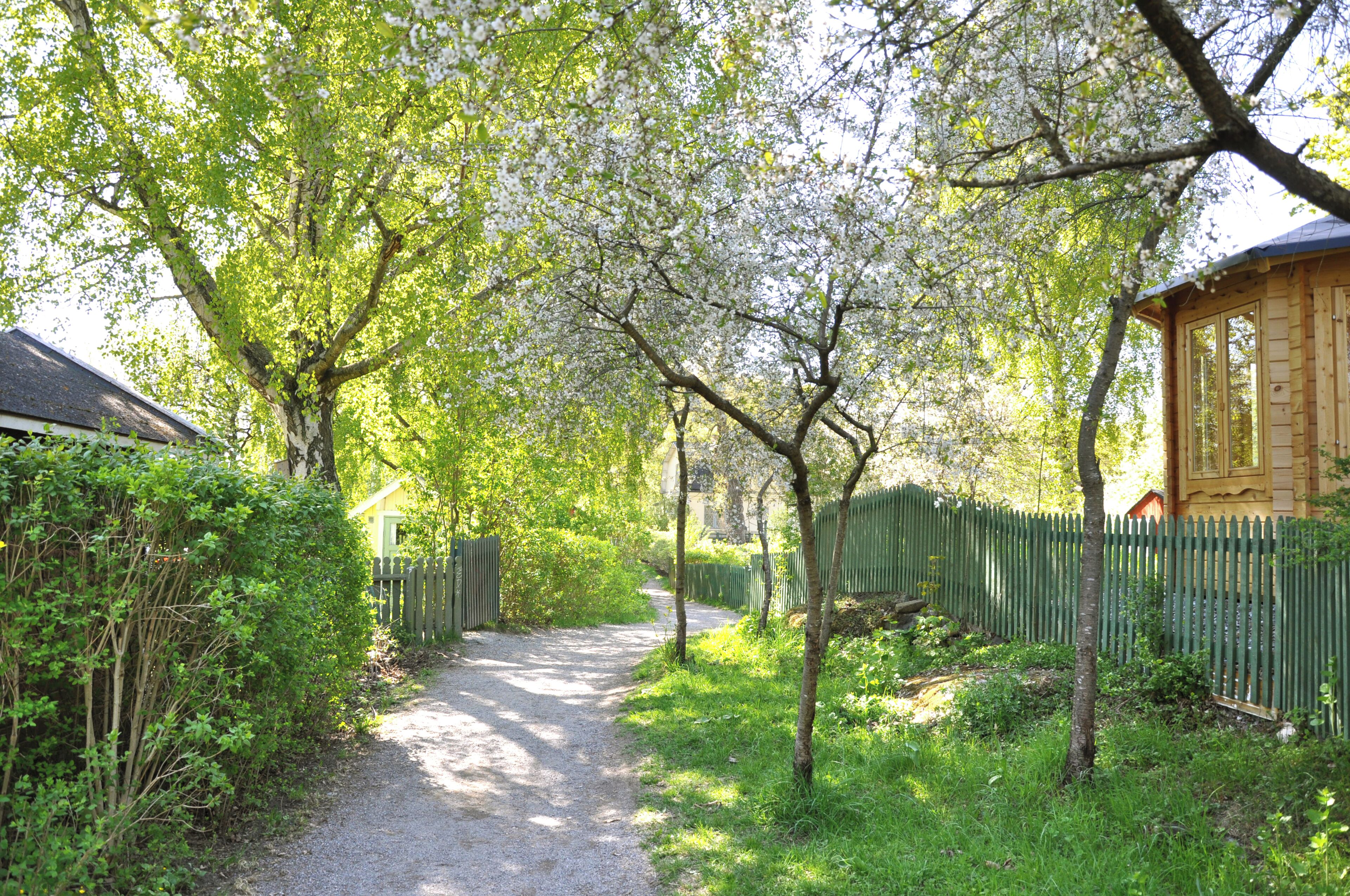 A gravel path leading to a wooden cabin with a green fence, surrounded by lush greenery and trees.