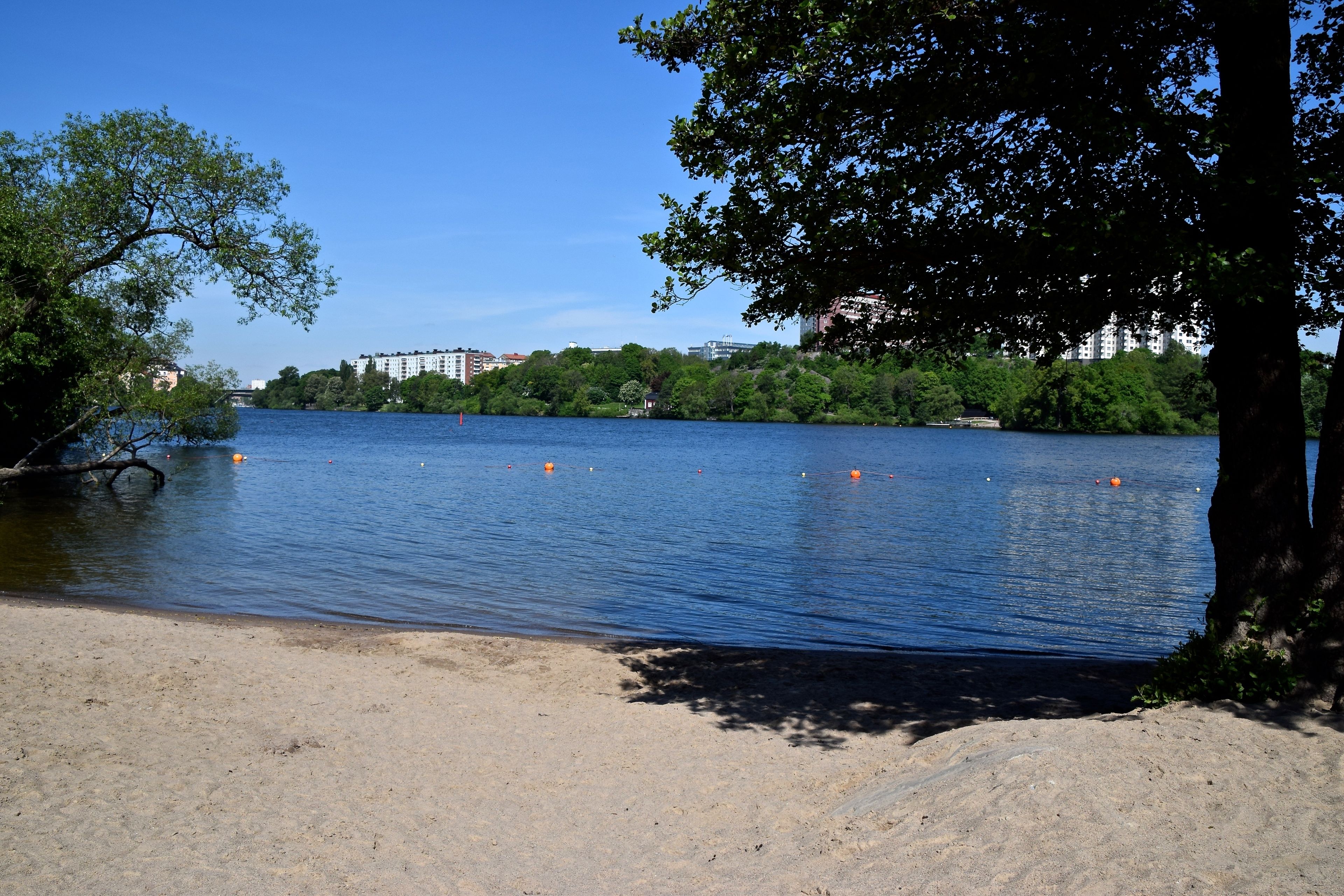 A lakeside view with a sandy beach, trees, and buildings in the background.