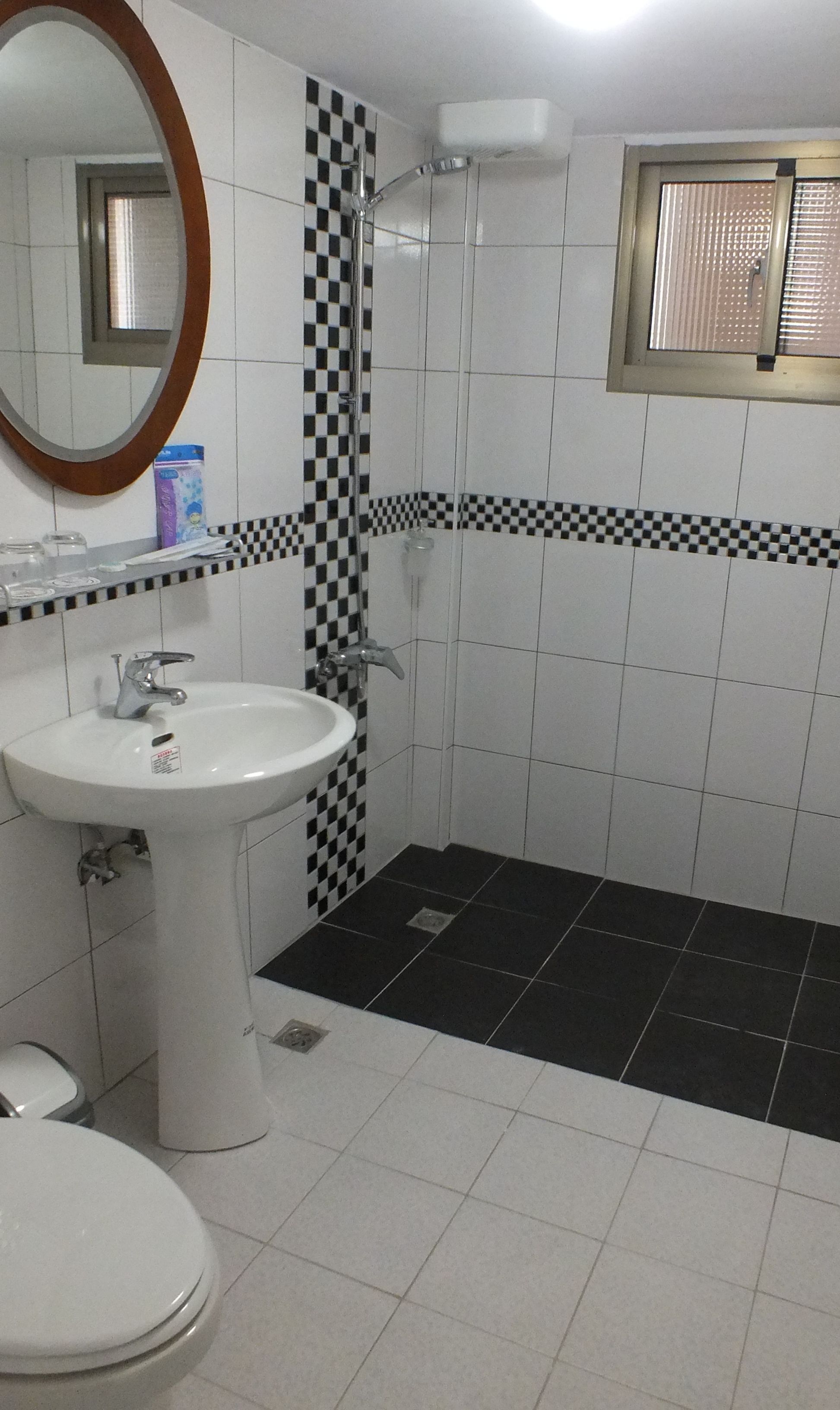 A bathroom with a white sink, a mirror, a shower, and a toilet.