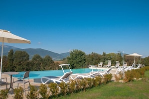 Seasonal outdoor pool, pool umbrellas, pool loungers