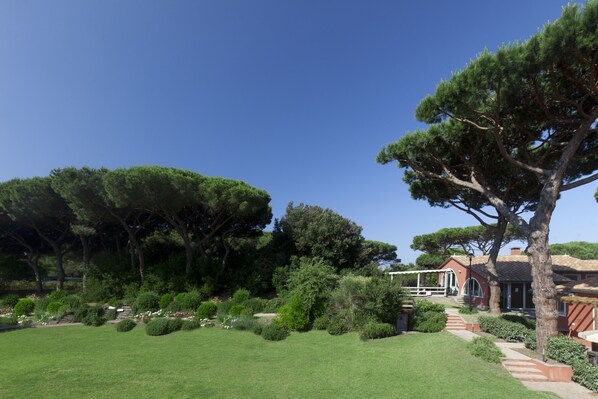 A well-maintained garden with a variety of trees and shrubs, a clear blue sky, and a building with a red roof.
