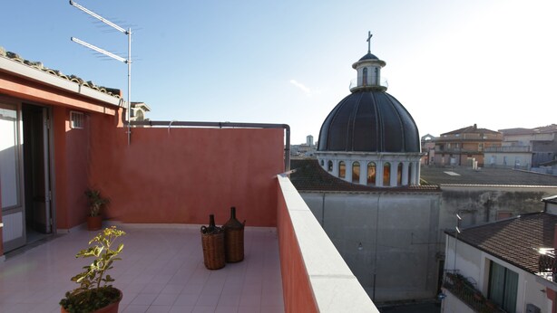 En takterrass med krukväxter, en stor kupolformad byggnad i bakgrunden och en klar himmel.