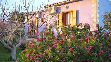 Jardin