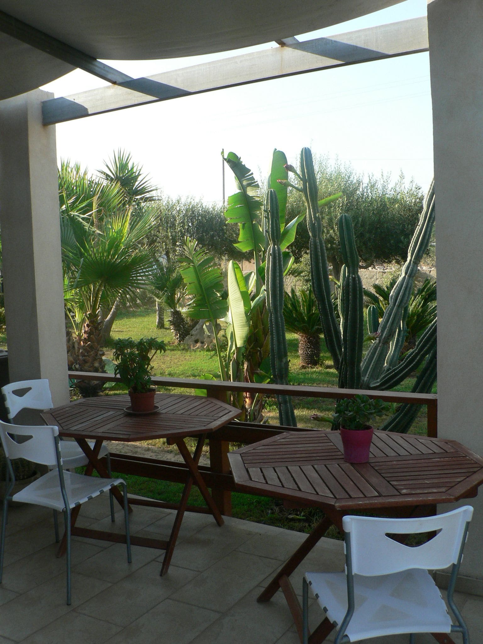 Een overdekt terras met twee houten tafels en vier stoelen, omringd door diverse planten waaronder cactussen en palmbomen.