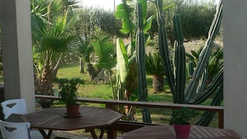 A covered patio area with two wooden tables and four chairs, surrounded by various plants including cacti and palm trees.
