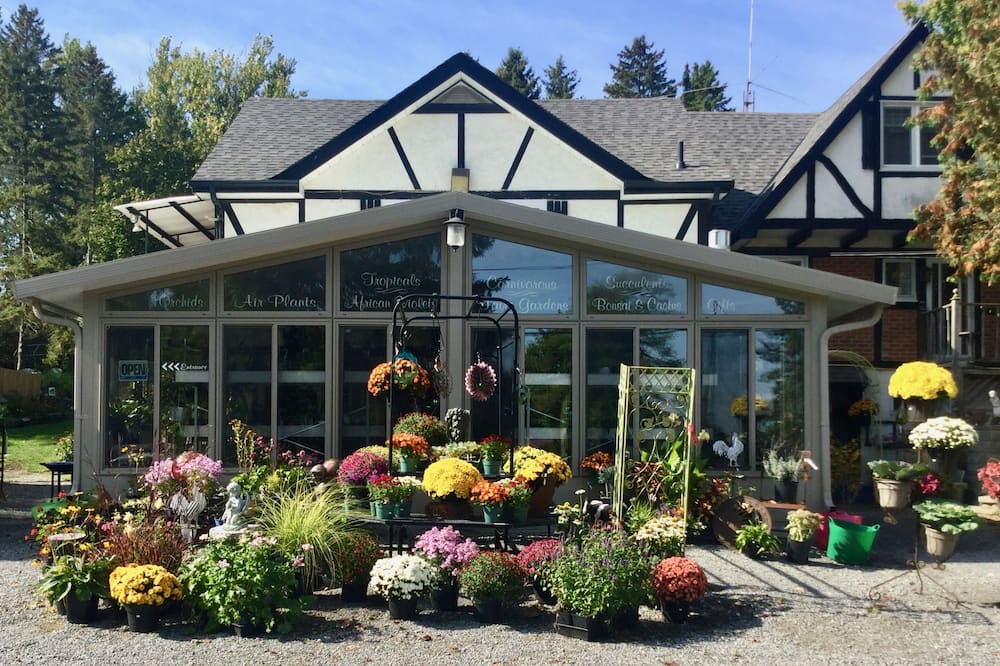 Burleys Gardens and Suite
