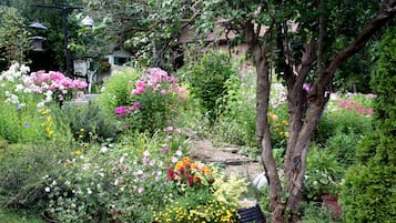 Executive Apartment, 2 Bedrooms, Kitchen, Garden View | Garden